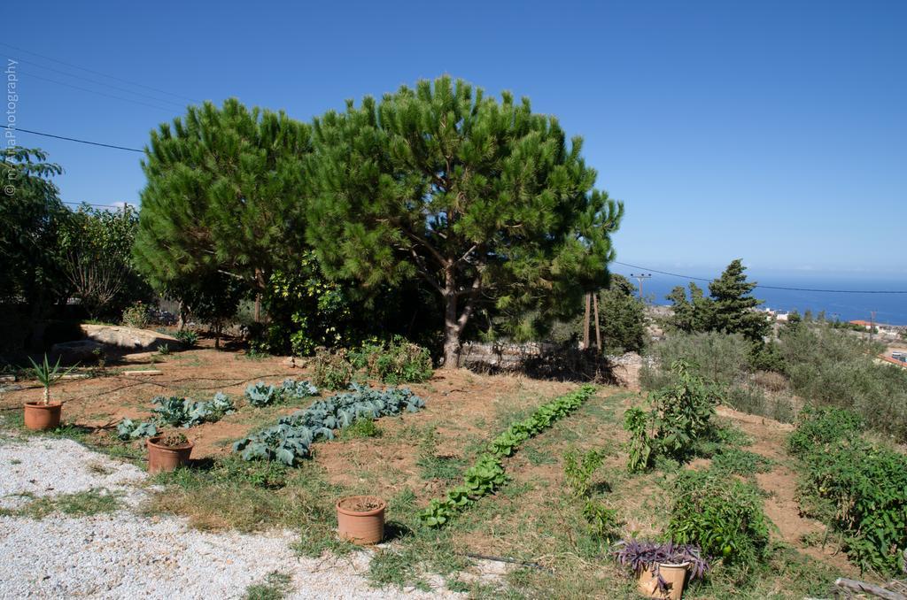 Villa Sunrise Kefalas Exterior photo